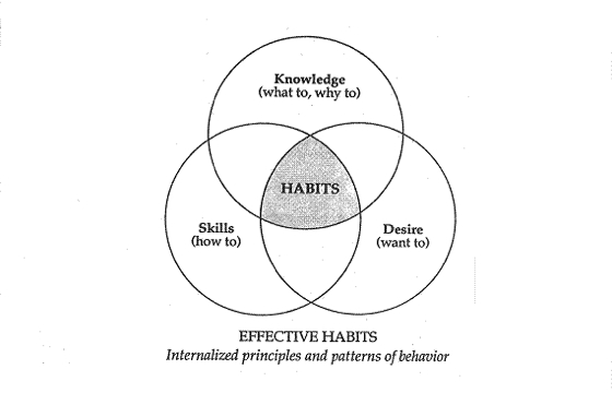 7 habits of highly effective people principles