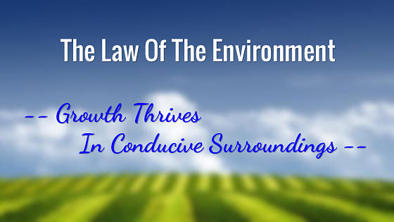 06. The Law Of The Environment