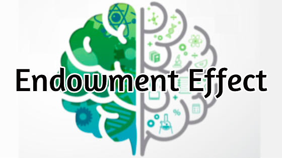 23_endowment effect
