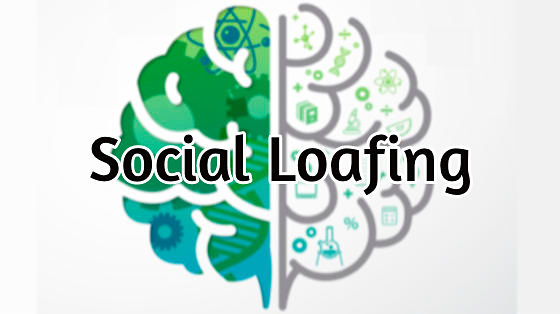 33_social loafing