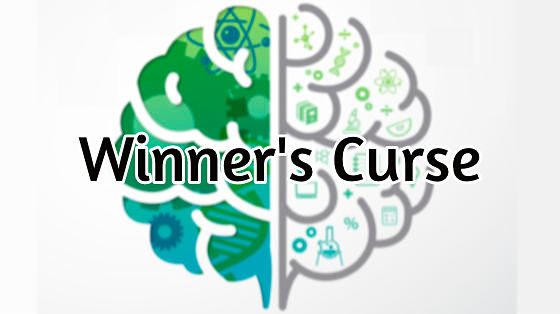 35_winner's curse